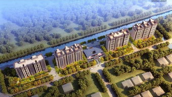 龍町企劃中心太倉雙鳳項目規劃發布，主推78-117㎡剛需戶型，樹立企業新形象